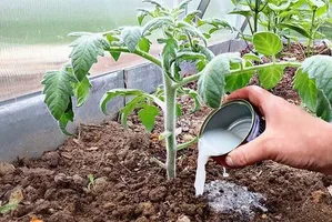 تصویر 2 از قیمت خرید کود ارگانیک مایع + فروش ویژه